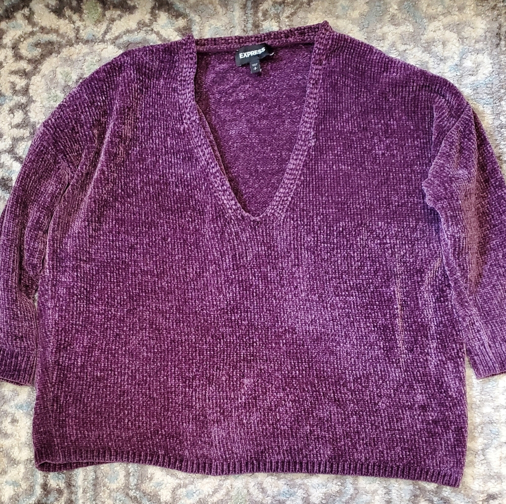Express Women's Top-Sweater